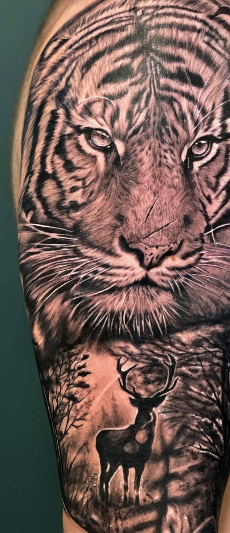 Tatuaje tigre y venado